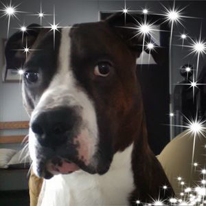 Meet your Posher, Denise